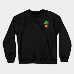 Herb Garden/Basil Leaf Plant Crewneck Sweatshirt